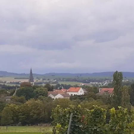 Fewo Pfaffen-Schwabenheim